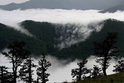  سفر به شگفت انگیزترین جنگل ایران