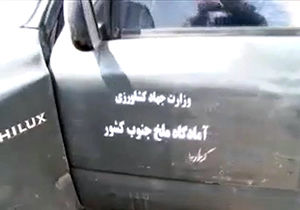 مبارزه با هجوم ملخ‌های صحرایی در جنوب کرمان