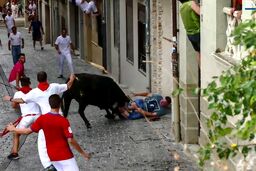 لحظه حمله گاو به تماشاگر جوان
