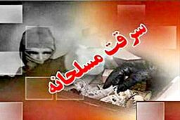 جزئیات سرقت هولناک مسلحانه از منزل مسکونی در شمال تهران