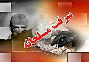 جزئیات سرقت هولناک مسلحانه از منزل مسکونی در شمال تهران