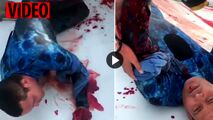 لحظه دلهره آور نجات غواص زخمی پس از حمله مرگبار کوسه