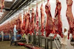 واردات گوشت؛ پای پسرخاله وزیر و پسر معاون وزیر سابق در میان است