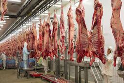 واردات گوشت؛ پای پسرخاله وزیر و پسر معاون وزیر سابق در میان است