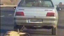 شکنجه بی‌رحمانه سگ زبان بسته توسط راننده خودروی سواری