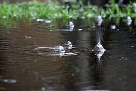 بارش شدید باران در پل دختر