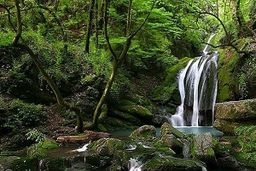 آبشار زیبای 