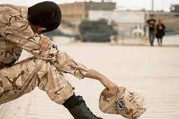 چه کسانی می‌توانند سربازی را بخرند؟