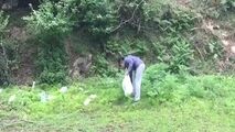 اقدام جالب و آموزنده یک شهروند طبیعت دوست