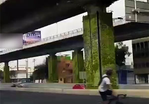 ایده عالی برای زیباسازی پل‌های درون شهری