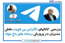 خیلی از مدیران متخلف مالی حامی کانالهای تلگرامی بی هویت هستند