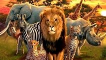 باهوش ترین حیوانات جهان کدام حیوانات هستند؟