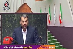 شرکت‌های واسط بین دولت و مردم به یک مشکل بزرگ تبدیل شده‌اند
