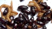 روش درمانی که بیمار سرطانی را از مرگ حتمی نجات داد!