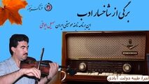 "سهیل ایوانی" نابغه موسیقی ایران