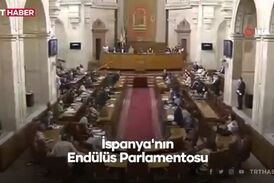موش بزرگ در مجلس اندلس/ زنها پا به فرار گذاشتند/فیلم