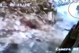 فرار معجزه آسای زن جوان از زنده به گور شدن در کوچه! 