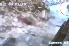 فرار معجزه آسای زن جوان از زنده به گور شدن در کوچه! 
