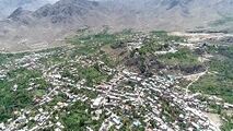 جشن آلاله ها در دامن طبیعت سبز نیاسر