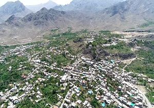 جشن آلاله ها در دامن طبیعت سبز نیاسر