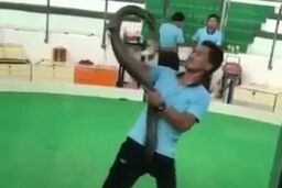 لحظه وحشتناک حمله مار شاه‌کبری به مرد جوان!