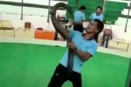 لحظه وحشتناک حمله مار شاه‌کبری به مرد جوان!