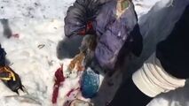 جسد کوهنورد مفقود شده پس از 31 سال پیدا شد!