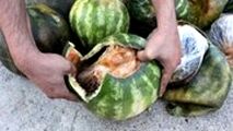  کشف محموله عجیب تریاک وسط بار هندوانه!