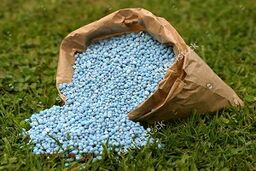 انتقاد از تخصیص ارز دولتی به واردکنندگان کودهای شیمیایی + فیلم