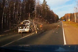 فیلم لحظه وحشتناک سقوط درخت روی خودروی سواری 