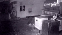 لحظه ثبت زلزله تهران توسط دوربین مخفی