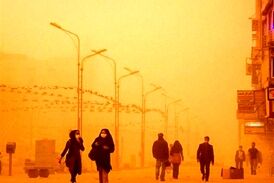 جدی بگیرید/ بیماری‌هایی که با گرد و غبار ایجاد می‌شوند
