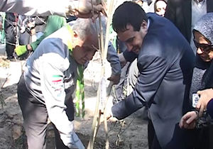 کاشت درخت به یاد شهدا