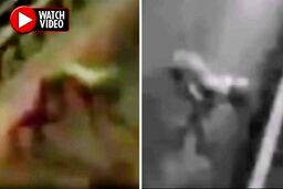 رویت جانور عجیب انسان نما در اتوبان!