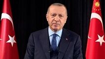 وقتی اردوغان از اسب می‌افتد