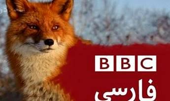 مچ‌گیری کارشناس بی‌بی‌سی، دروغ مجری این شبکه را لو داد
