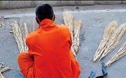 اقدام جالب دو هنرمند خوش‌ذوق در تقدیر از رفتگران زحمتکش