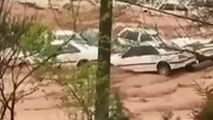 فیلم جدید از لحظه وقوع سیل در شیراز 