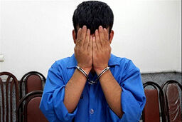 سارقانی که خود طعمه سارقی دیگر شدند