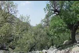 طبیعت بی‎‌نظیر و دیدنی در روستای بیدرود