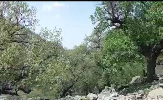 طبیعت بی‎‌نظیر و دیدنی در روستای بیدرود