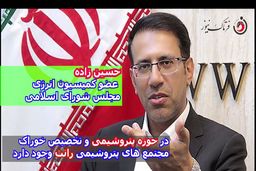 در حوزه پتروشیمی و تخصیص خوراک مجتمع‌های پتروشیمی رانت وجود دارد 