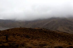 نمایی از طبیعت پاییزی در تویسرکان