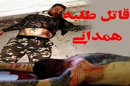 چرا قاتل طلبه همدانی زنده دستگیر نشد؟