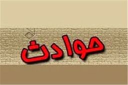  لحظه وحشتناک غرق شدن یک کودک در آب 