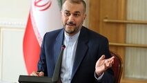 پای ننه زبیده هم به ماجرای وزیر امور خارجه بازشد/ آقای وزیر؛ خودی هستی یا نخودی؟!