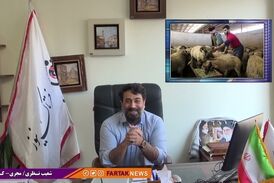 انتقاد تند شعیب نظری به اظهارات نسنجیده مدیرعامل اتحادیه دامداران