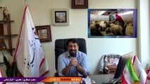 انتقاد تند شعیب نظری به اظهارات نسنجیده مدیرعامل اتحادیه دامداران