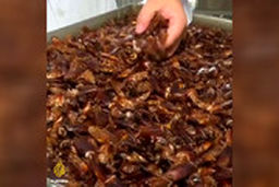  کارخانه‌های تولید سوسک خوراکی در چین