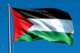 اقدام جالب دانشجویان ایرلندی در حمایت از مردم فلسطین